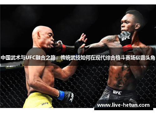 中国武术与UFC融合之路：传统武技如何在现代综合格斗赛场崭露头角