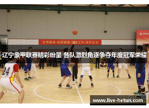 辽宁象甲联赛精彩纷呈 各队激烈角逐争夺年度冠军荣耀